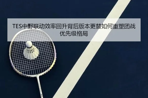 TES中野联动效率回升背后版本更替如何重塑团战优先级格局