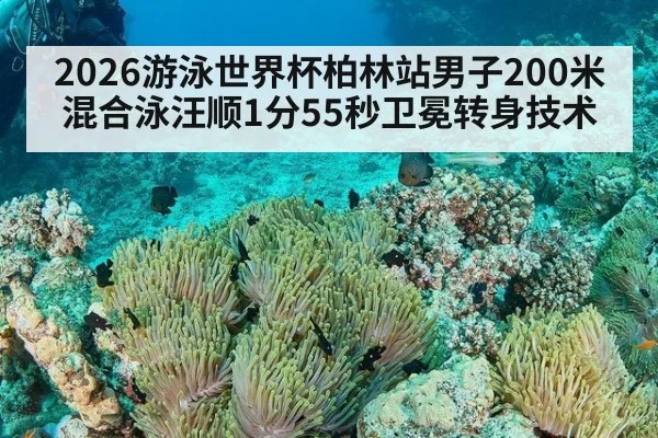 2026游泳世界杯柏林站男子200米混合泳汪顺1分55秒卫冕转身技术
